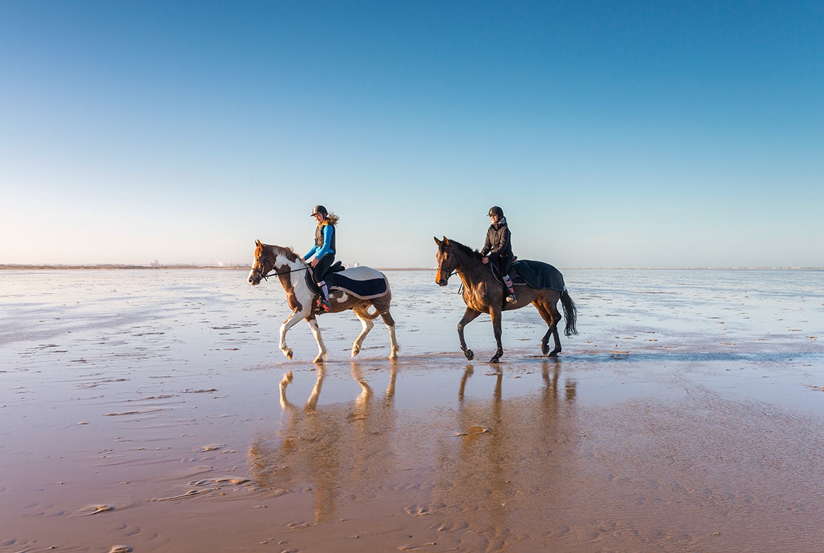 ville huchet activity 01