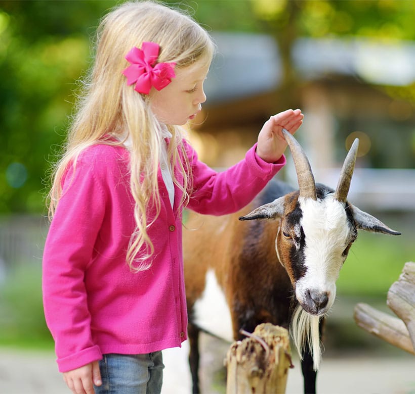visites animaux saint malo